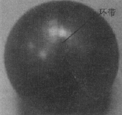 DN50空心閥球高效精密研磨技術